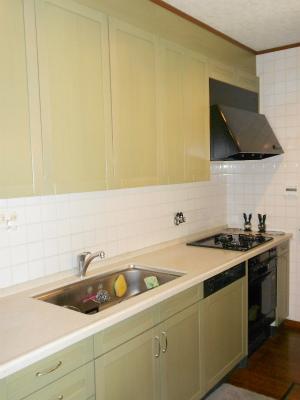 Kitchen. Indoor (10 May 2013) Shooting