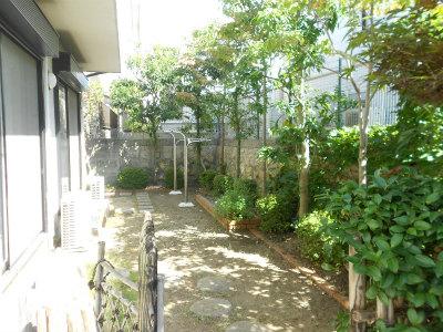 Garden. Local (10 May 2013) Shooting