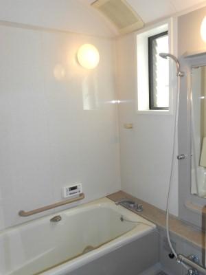 Bathroom. Indoor (10 May 2013) Shooting