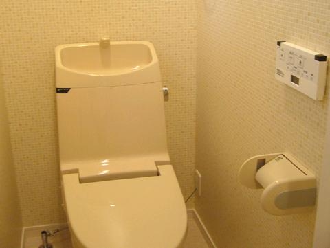 Toilet. Example of construction toilet