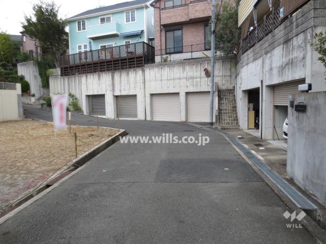 Local photos, including front road. Property of the east front of the road (from the south)