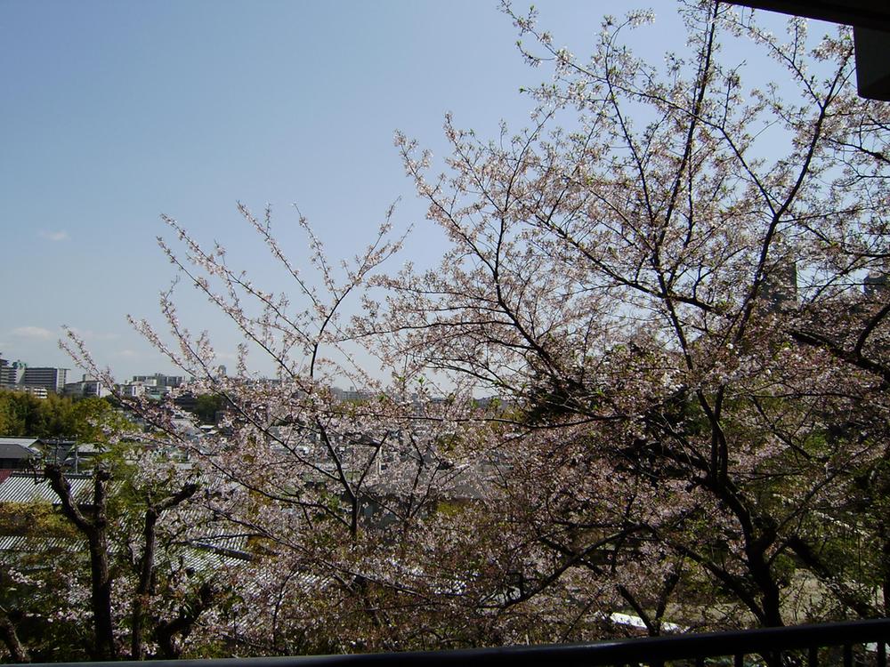View photos from the dwelling unit. View from local (March 2013) Shooting