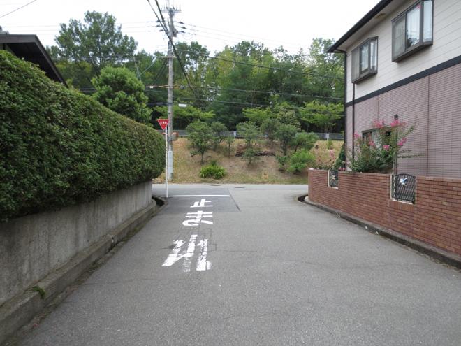 Local photos, including front road. local