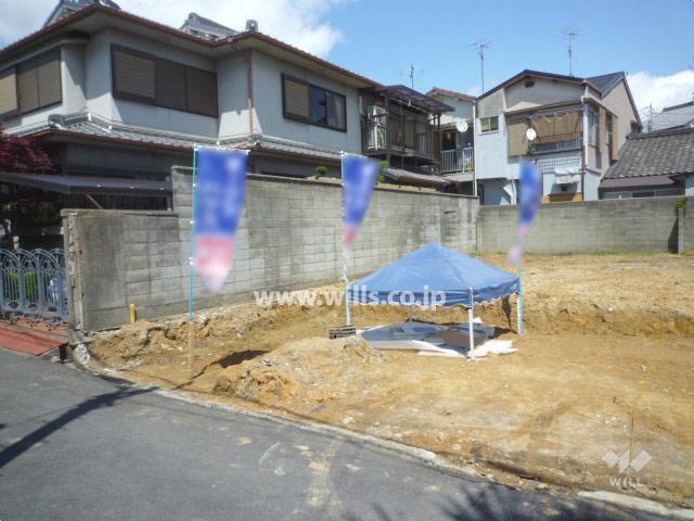 Local land photo. Property (from the southwest side)