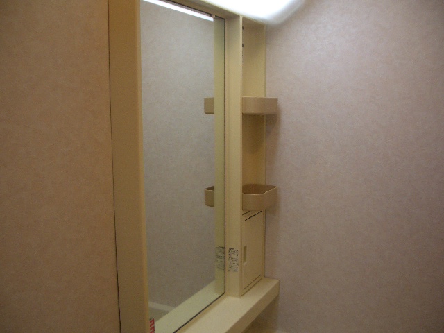 Washroom. Mandatory independent wash basin in women