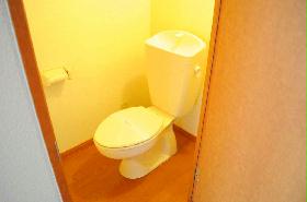 Toilet. There is also enough breadth of toilet! 