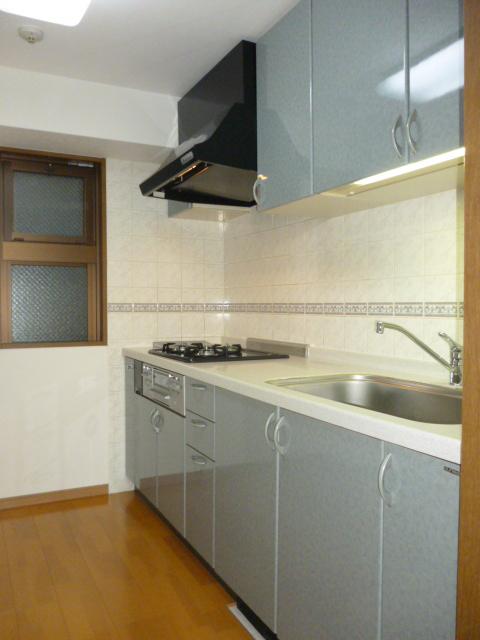 Kitchen. Indoor (12 May 2013) Shooting