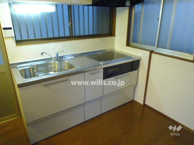 Kitchen. IH cooking heater