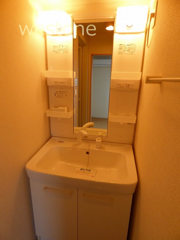Washroom. Vanity with shower