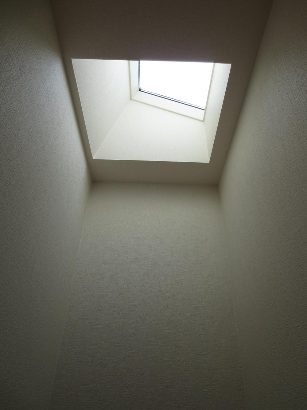 Other. Skylight