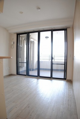 Living and room. Large windows is bright rooms