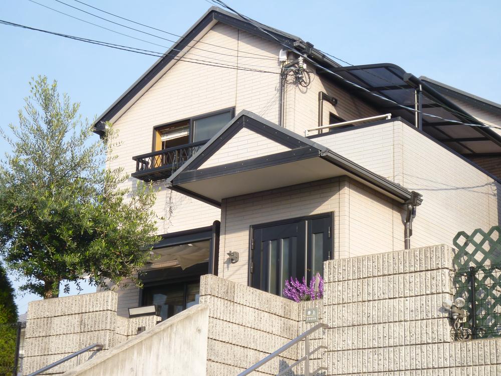 Local appearance photo. Appearance (November 2013) Shooting