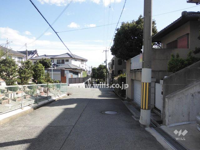 Local photos, including front road