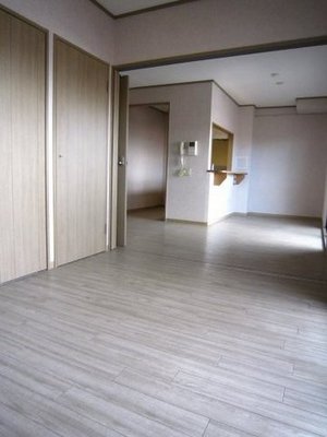 Living and room. Because we use a photo of the same type of room before renovation
