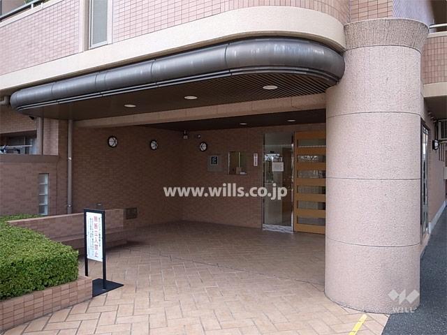 Entrance. Common areas