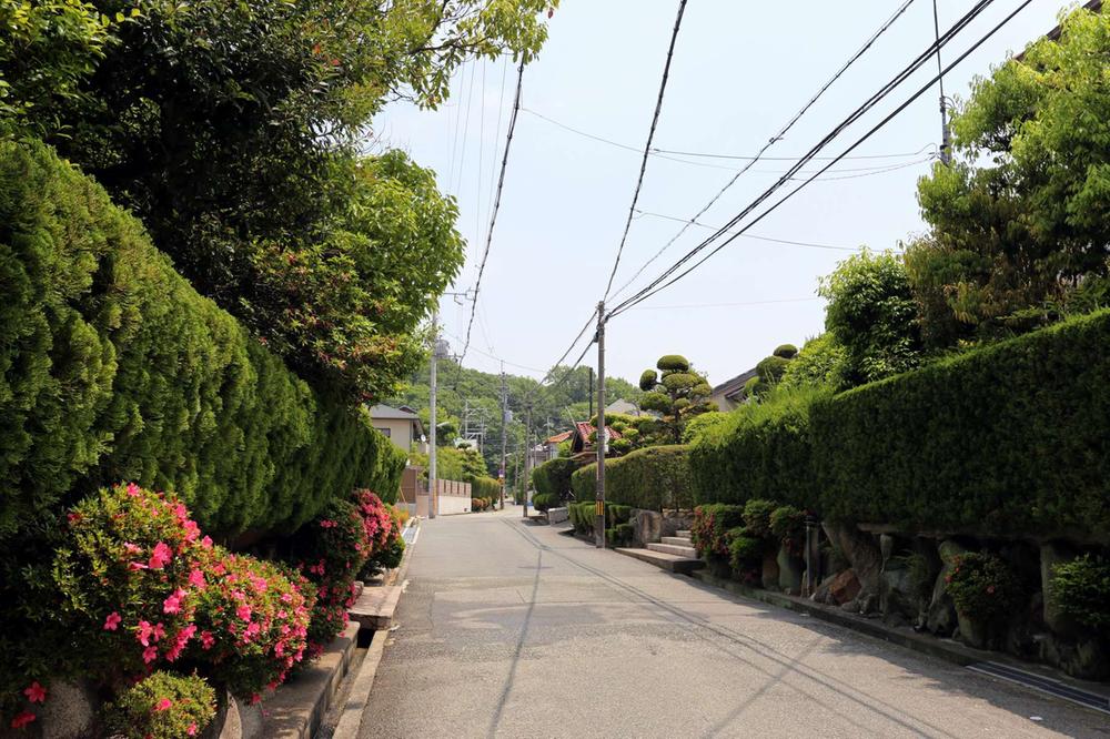 Local (May 2013) Shooting