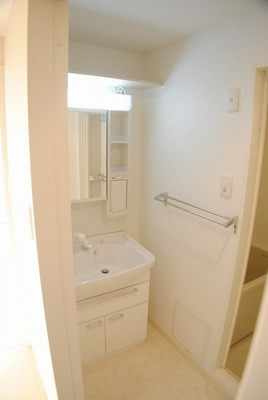 Washroom. Shampoo dresser of a large mirror.