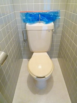 Toilet