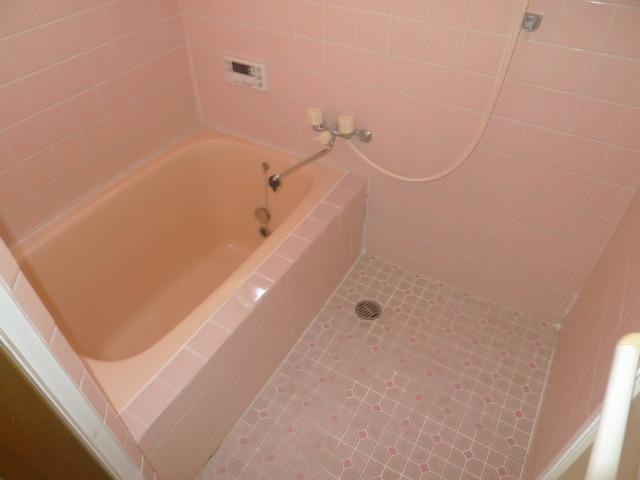 Bathroom. Indoor (June 2013) Shooting