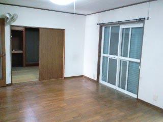 Living. Room (August 2012) shooting