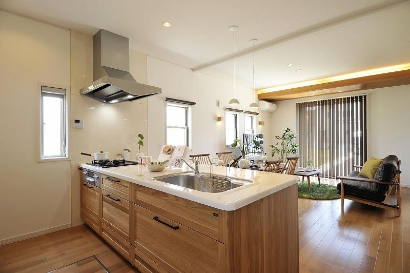 Kitchen. Model house (kitchen)