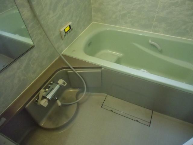 Bathroom. This bath was loose