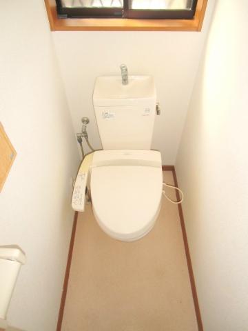 Toilet. Multi-functional toilet