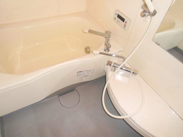 Bathroom. This bath was loose