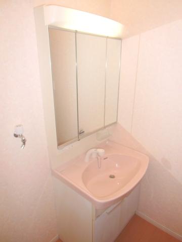 Wash basin, toilet. Shampoo is Dresser