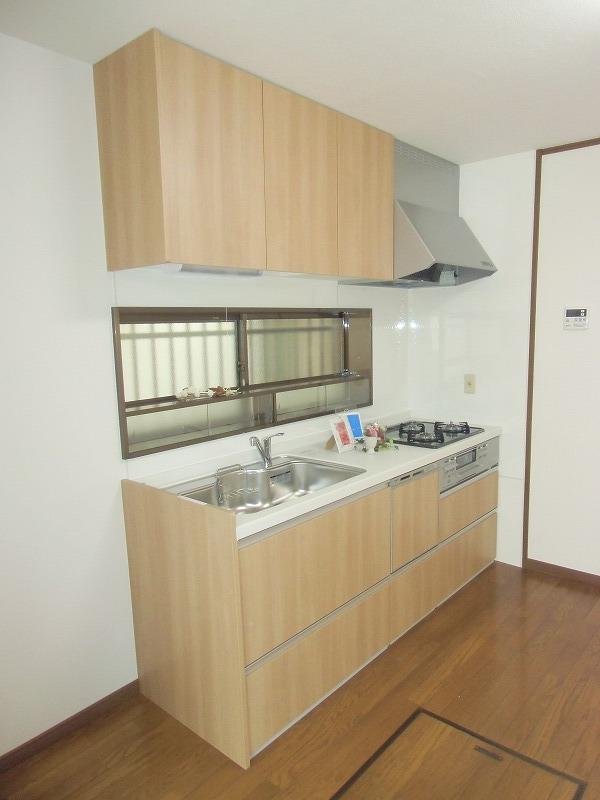 Kitchen. Local shooting