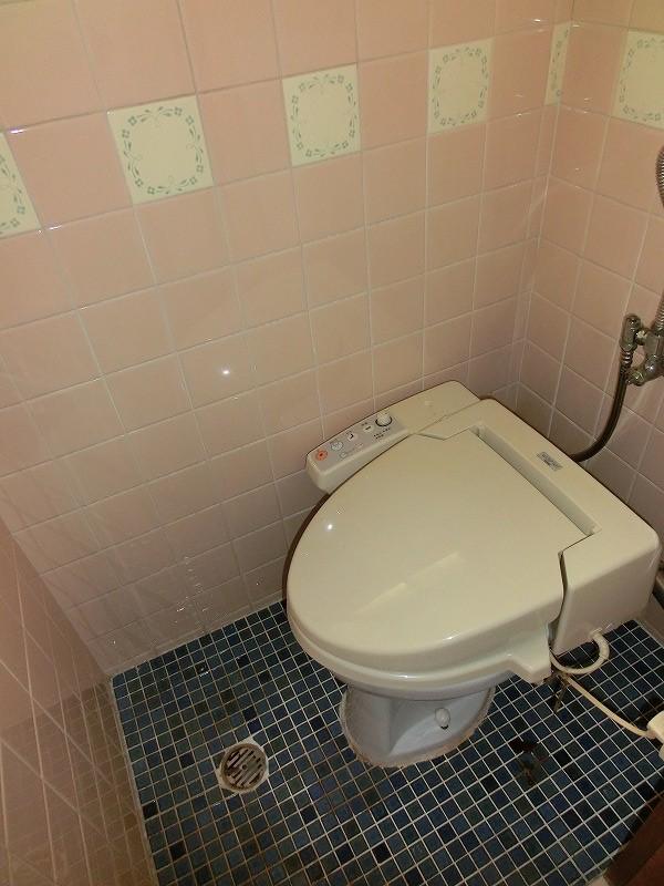 Toilet. Indoor shooting
