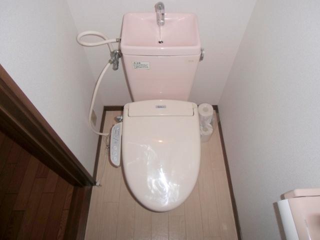 Toilet. Multi-functional toilet