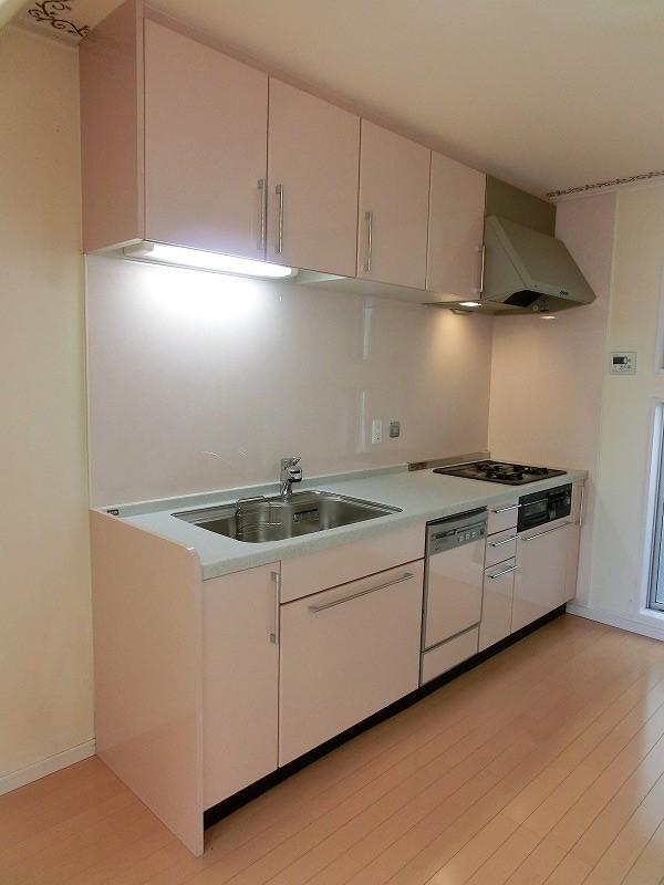 Kitchen. Indoor (10 May 2012) shooting