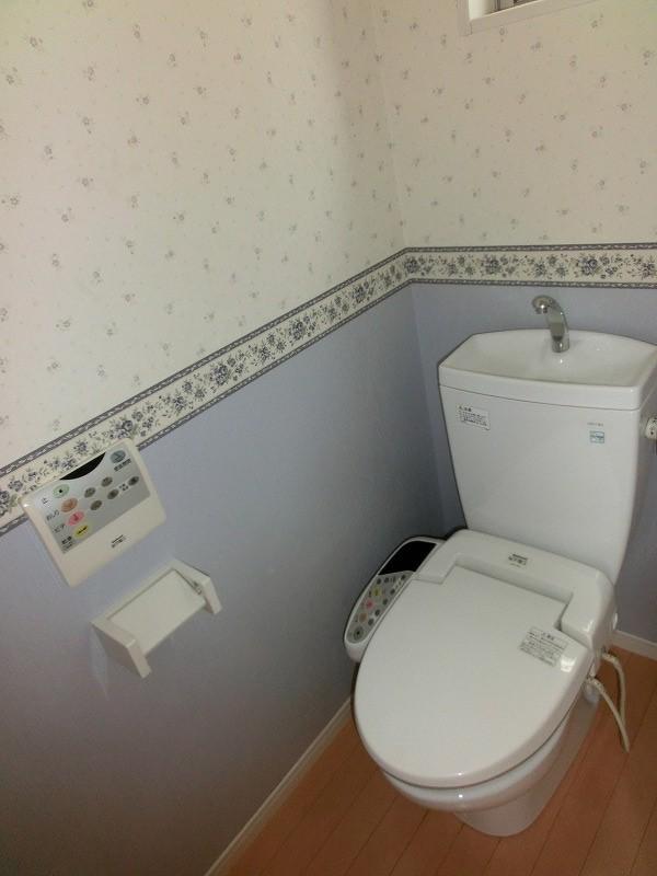 Toilet. Indoor (10 May 2012) shooting