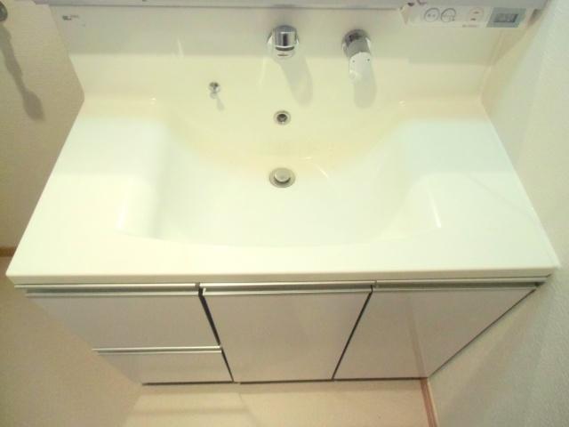 Wash basin, toilet. It helps you to get ready for going out with shampoo dresser