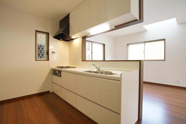 Kitchen. Model house "No. 2 place" Spacious living room 18 Pledge