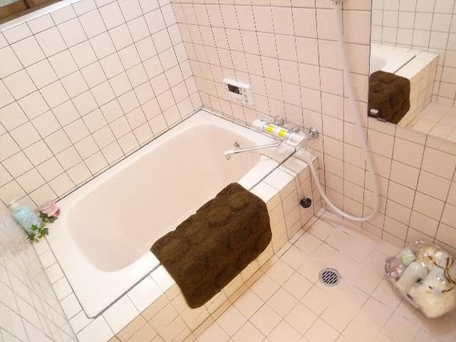 Bathroom. Interior
