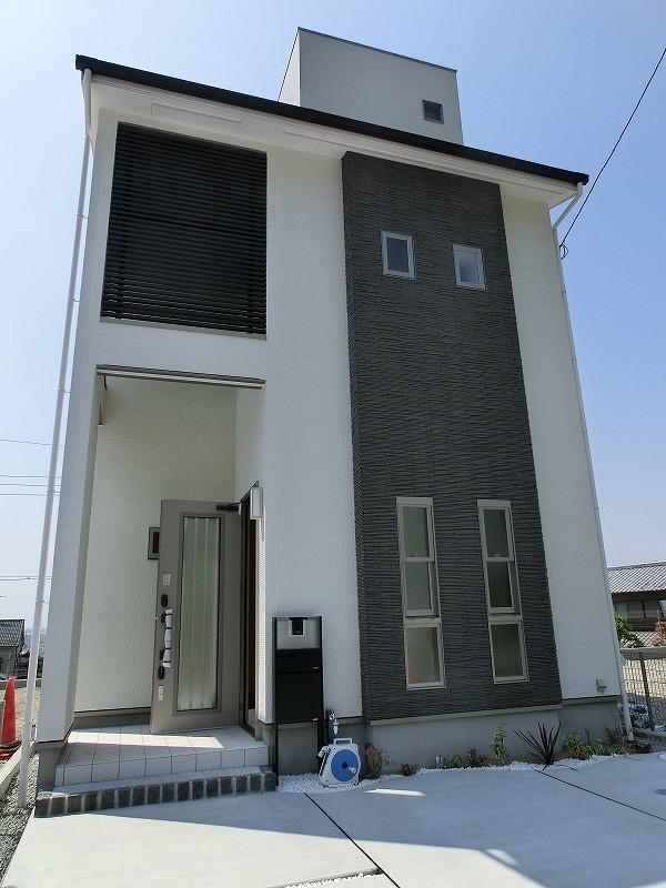 Other. Our construction cases appearance