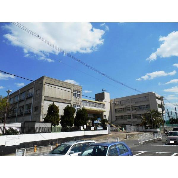 Junior high school. 800m until Yao Municipal Kaminoshima junior high school