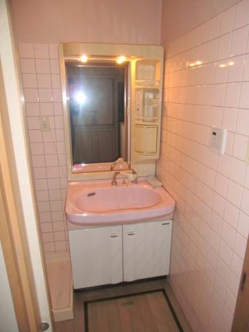 Wash basin, toilet. Shampoo is Dresser