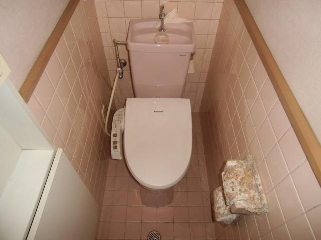 Toilet. Multi-functional toilet