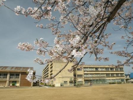 Primary school. 42m until Yao Municipal Nagaike Elementary School