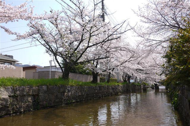 Streets around. Please come by all means in the local is a quiet residential area.