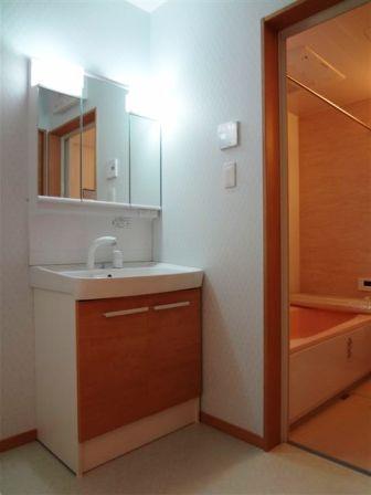 Other. Than model house