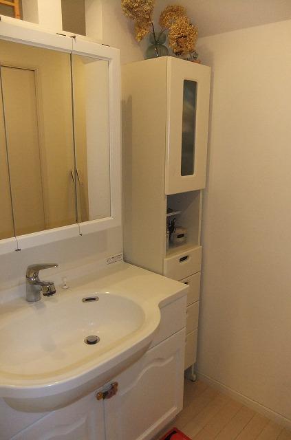 Wash basin, toilet. Room (August 2013) Shooting