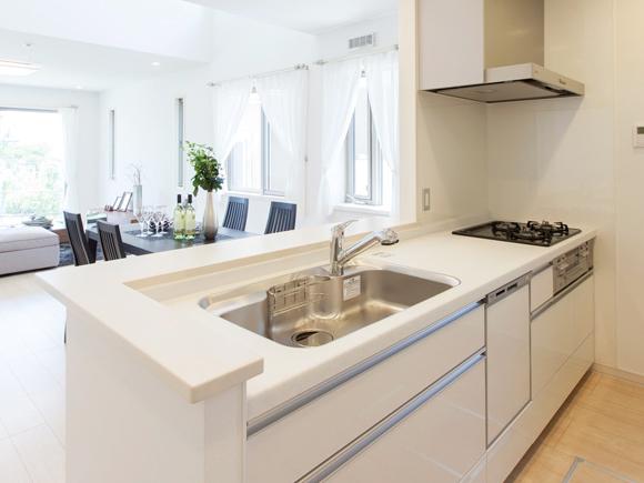 Same specifications photo (kitchen). Conversation family is likely to help even bouncing open face-to-face counter kitchen.  [Other construction site]