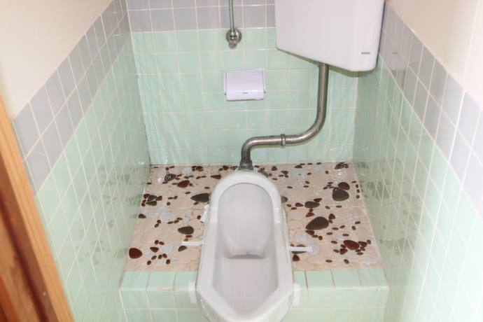 Toilet. Flush toilet