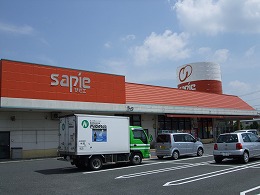 Shopping centre. Sapie until the (shopping center) 667m