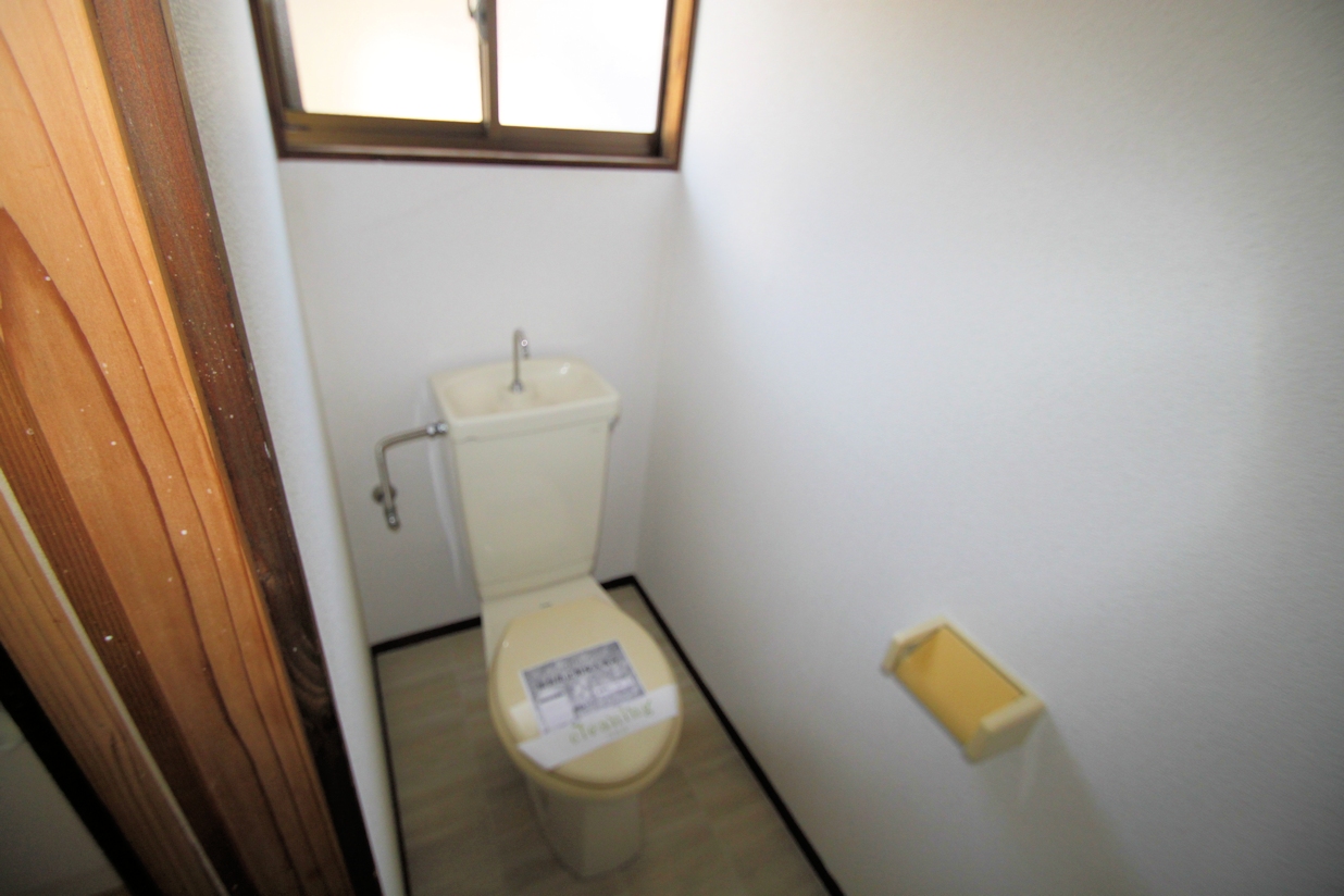 Toilet. Flush toilet