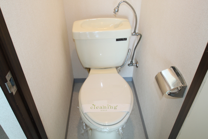 Toilet. Western-style toilet